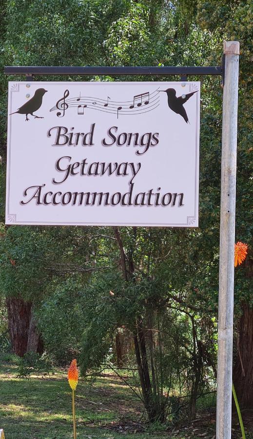 Bird Songs Getaway Accommodation Cabbage Tree Creek Kültér fotó