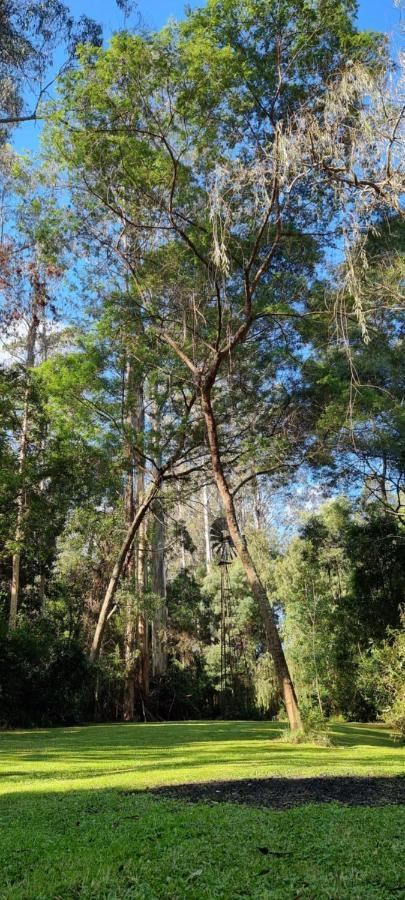 Bird Songs Getaway Accommodation Cabbage Tree Creek Kültér fotó