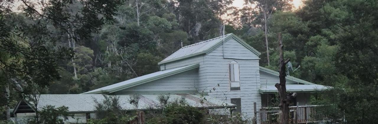 Bird Songs Getaway Accommodation Cabbage Tree Creek Kültér fotó